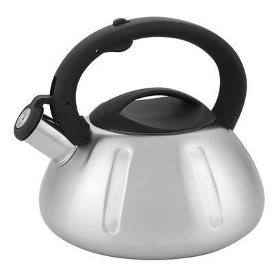 Czajnik nierdzewny Florina George linie 2,6 l